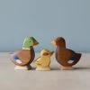 Brin D'Ours | Duck *New*