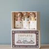 *New* Maileg | Triplets Baby Mice In Matchbox