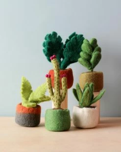 Odin Parker Handmade Felt Plants