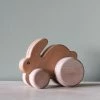 *New* BAJO Small Hopping Rabbit
