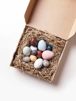 Moon Picnic *New* A Dozen Bird Eggs In A Box