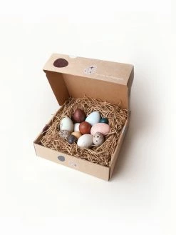 Moon Picnic *New* A Dozen Bird Eggs In A Box