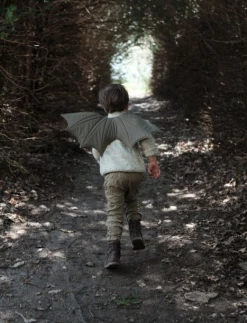 Fabelab Pretend Play Dragon Wings *New*