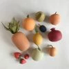 Sabo Concept *New* Handmade Wooden Fruits